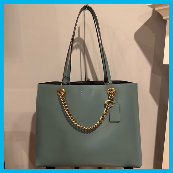 NWOT Coach Signature Chain Central Tote ✨PERFECT CONDITION✨ - Picture 4 of 8